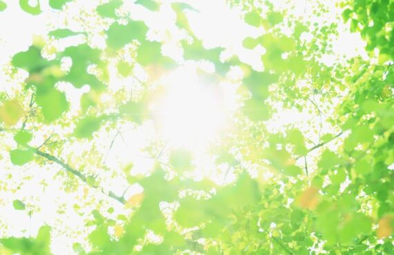 トレーニング＆セルフタイ古式マッサージのオンラインパーソナル